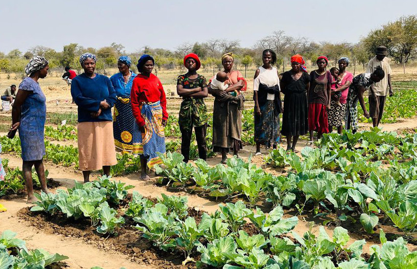 Each farmer has his or her own rows in the common demo plot