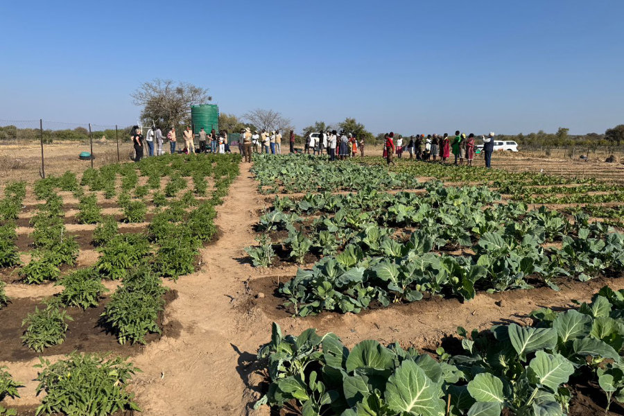 Members of the Producer Organisation proudly sharing their progress in the demo garden