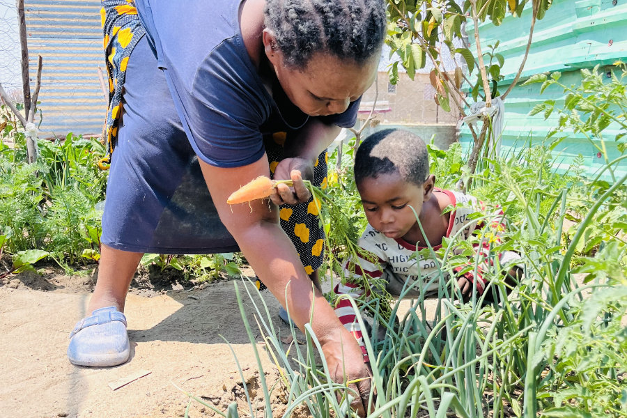 Nutrition and Gardening project DAPP Namibia 3 Nutrition and Gardening project DAPP Namibia